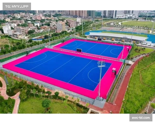 多功能体育场馆改造，满足曲棍球比赛训练需求